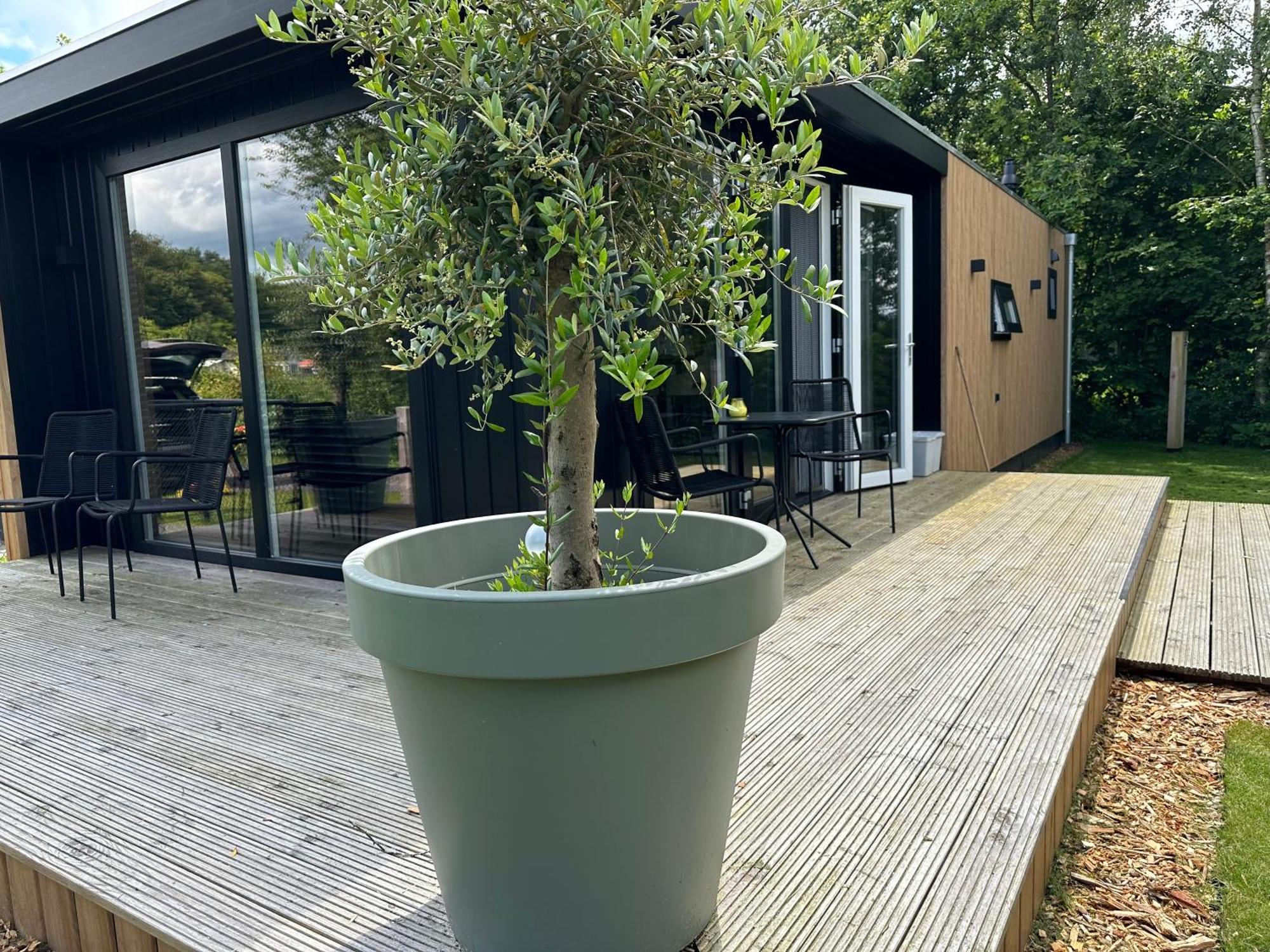 Chalet De Blauwe Regen